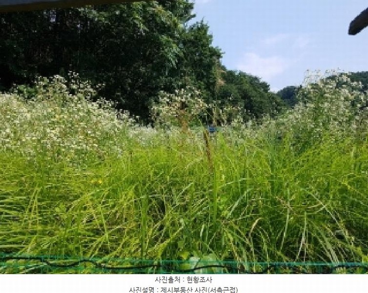 2025타경50733 강원특별자치도 홍천군 북방면 구만리 495-7 농지 경매 이미지