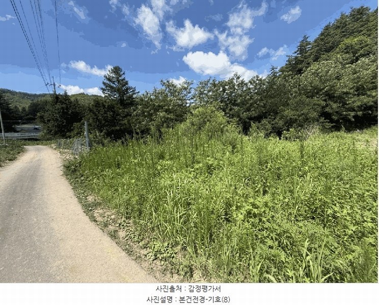 2025타경50749 강원특별자치도 홍천군 내면 율전리 1657-2 농지 경매 이미지