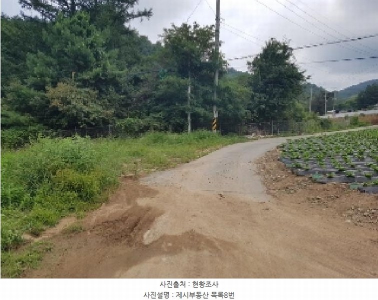 2025타경50749 강원특별자치도 홍천군 내면 율전리 1657-2 농지 경매 이미지