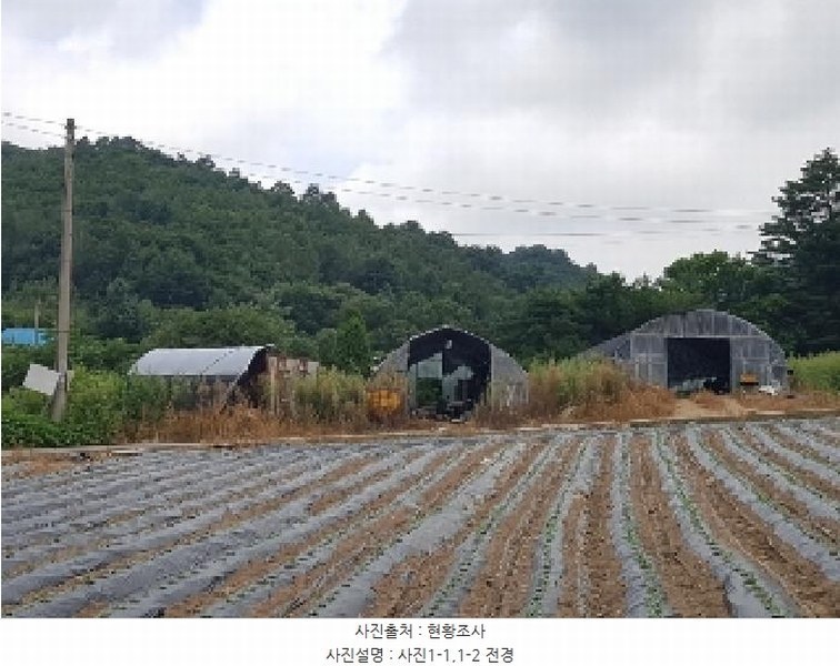 2025타경50749 강원특별자치도 홍천군 내면 율전리 1657-2 농지 경매 이미지