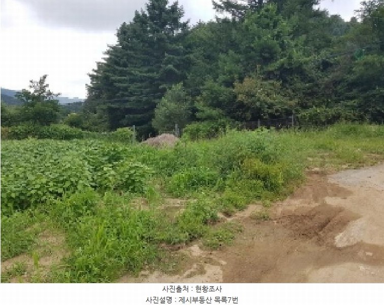 2025타경50749 강원특별자치도 홍천군 내면 율전리 1657-2 농지 경매 이미지
