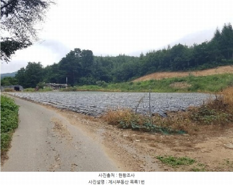 2025타경50749 강원특별자치도 홍천군 내면 율전리 1657-2 농지 경매 이미지