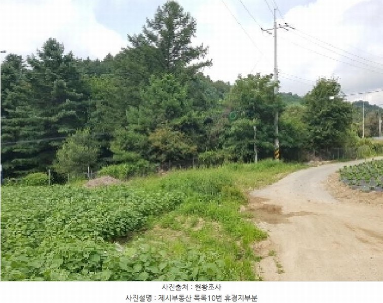 2025타경50749 강원특별자치도 홍천군 내면 율전리 1657-2 농지 경매 이미지