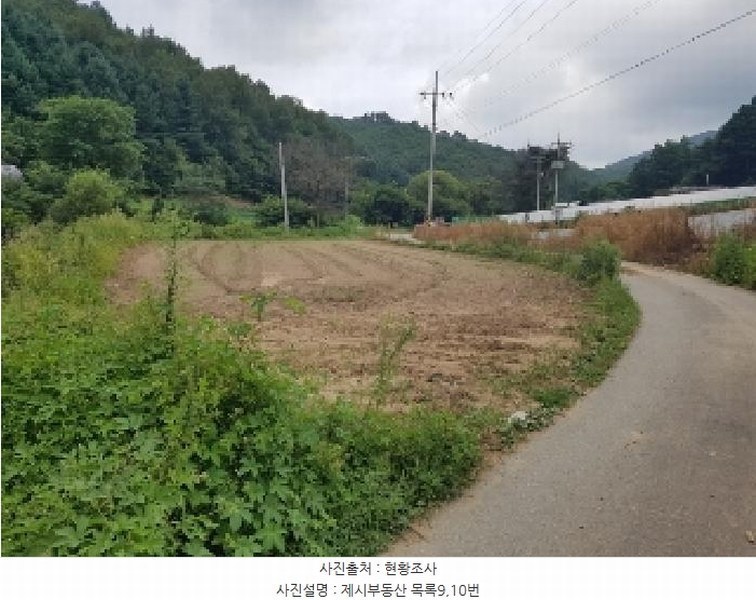 2025타경50749 강원특별자치도 홍천군 내면 율전리 1657-2 농지 경매 이미지
