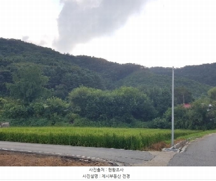 2025타경50833 강원특별자치도 홍천군 서면 팔봉리 산243 임야 경매 이미지