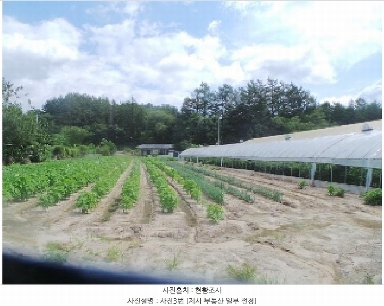 2025타경50856 강원특별자치도 춘천시 서면 월송리 1158 농지 경매 이미지