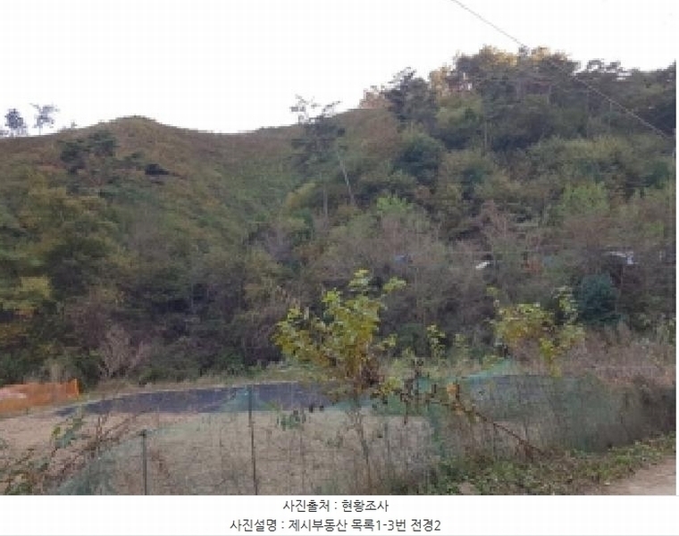 2025타경50874 강원특별자치도 홍천군 남면 화전리 347 임야 경매 이미지