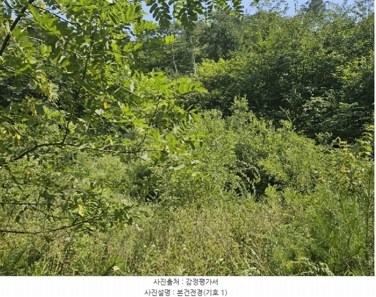 2025타경50874 강원특별자치도 홍천군 남면 화전리 347 임야 경매 이미지