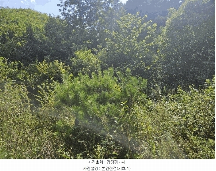 2025타경50874 강원특별자치도 홍천군 남면 화전리 347 임야 경매 이미지