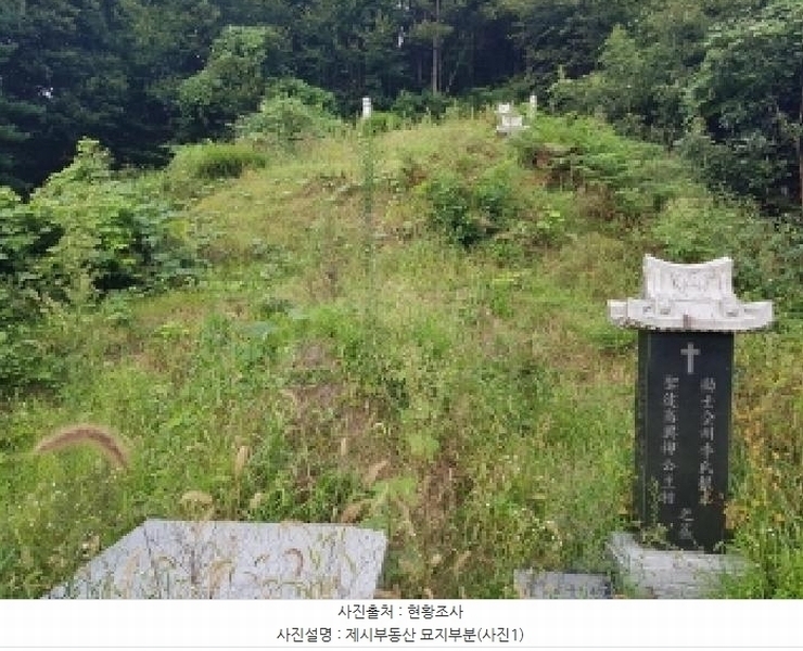 2025타경50878 강원특별자치도 춘천시 남산면 방곡리 산20 임야 경매 이미지