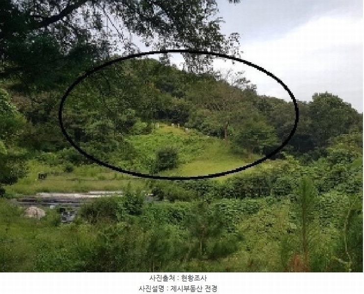 2025타경50878 강원특별자치도 춘천시 남산면 방곡리 산20 임야 경매 이미지