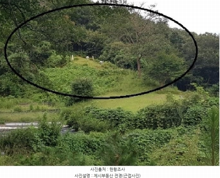 2025타경50878 강원특별자치도 춘천시 남산면 방곡리 산20 임야 경매 이미지