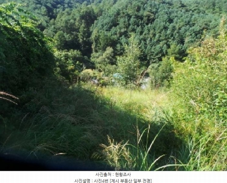 2025타경50882 강원특별자치도 양구군 방산면 칠전리 65-1 농지 경매 이미지