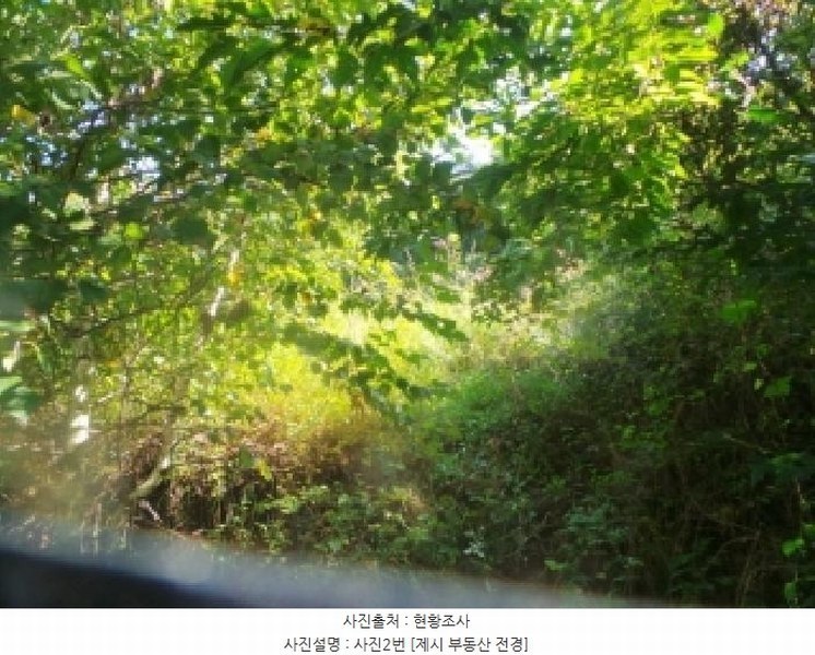 2025타경50882 강원특별자치도 양구군 방산면 칠전리 65-1 농지 경매 이미지