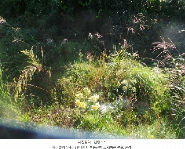 2025타경50882 강원특별자치도 양구군 방산면 칠전리 65-1 농지 경매 이미지