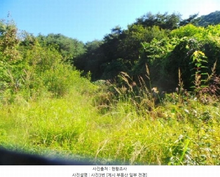 2025타경50882 강원특별자치도 양구군 방산면 칠전리 65-1 농지 경매 이미지