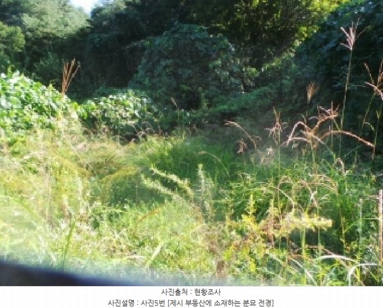 2025타경50882 강원특별자치도 양구군 방산면 칠전리 65-1 농지 경매 이미지