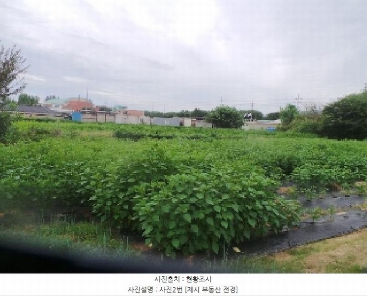 2025타경50894 강원특별자치도 춘천시 신동 902-28 농지 경매 이미지