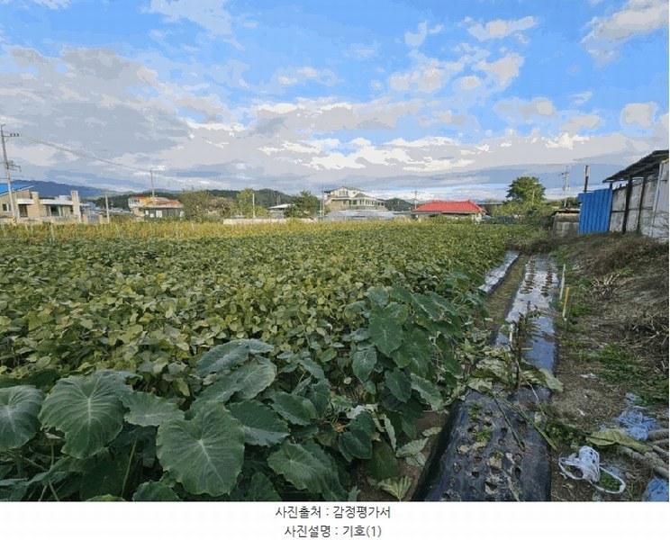 2025타경50894 강원특별자치도 춘천시 신동 902-28 농지 경매 이미지