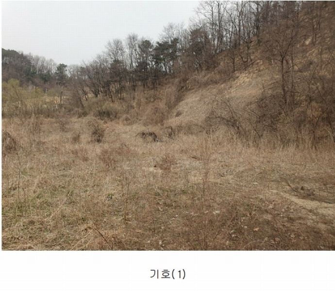 2025타경50922 충청북도 청주시 청원구 내수읍 초정리 36-5 임야 경매 이미지