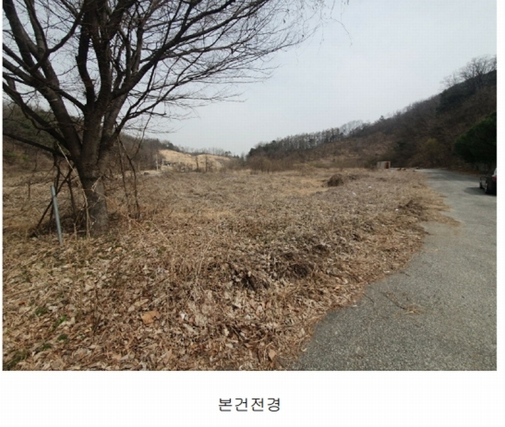 2025타경50922 충청북도 청주시 청원구 내수읍 초정리 36-5 임야 경매 이미지