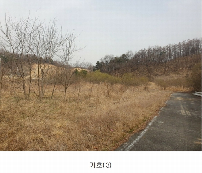 2025타경50922 충청북도 청주시 청원구 내수읍 초정리 36-5 임야 경매 이미지