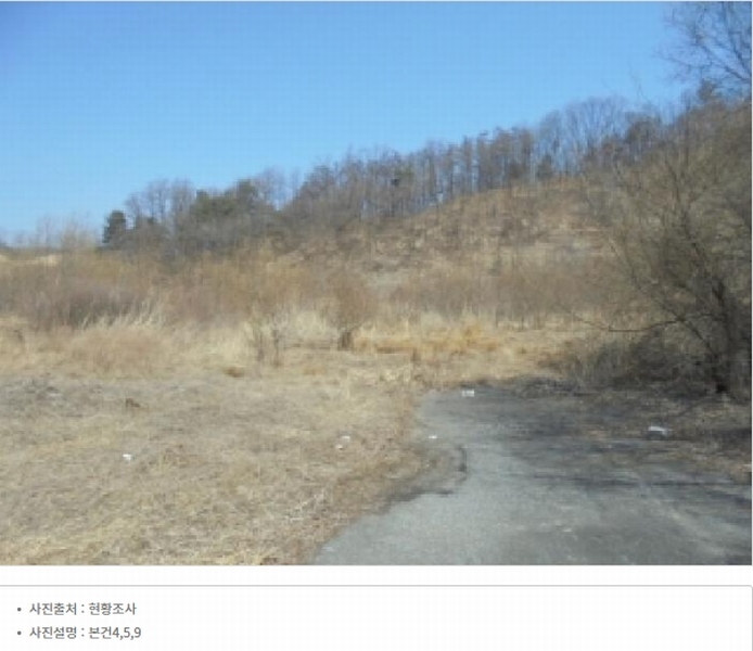 2025타경50922 충청북도 청주시 청원구 내수읍 초정리 36-5 임야 경매 이미지