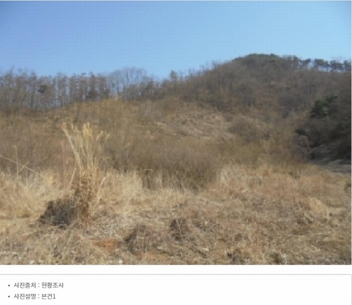 2025타경50922 충청북도 청주시 청원구 내수읍 초정리 36-5 임야 경매 이미지