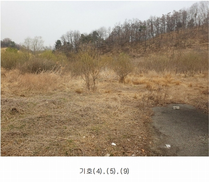2025타경50922 충청북도 청주시 청원구 내수읍 초정리 36-5 임야 경매 이미지