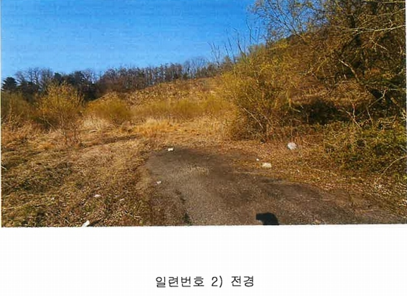 2025타경50922 충청북도 청주시 청원구 내수읍 초정리 36-5 임야 경매 이미지