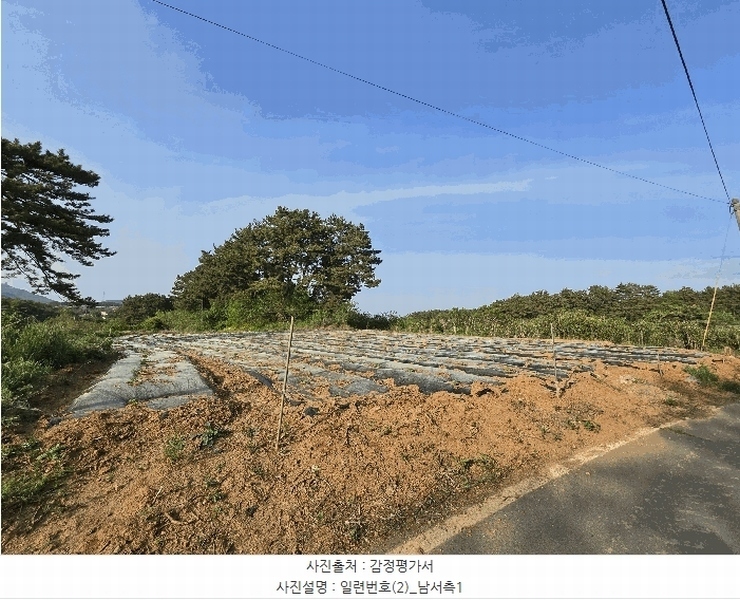 2025타경637 충청남도 서산시 지곡면 대요리 402-8 농지 경매 이미지