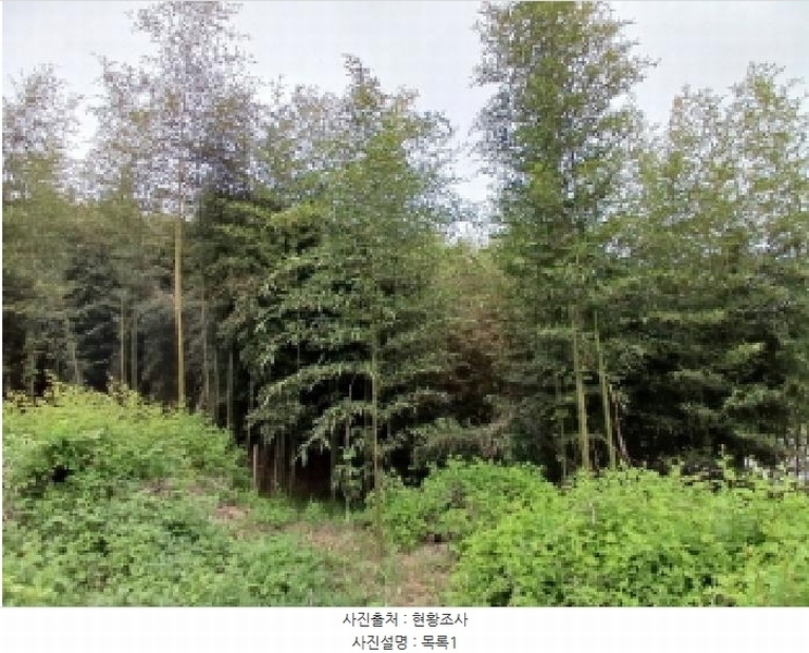 2025타경637 충청남도 서산시 지곡면 대요리 402-8 농지 경매 이미지