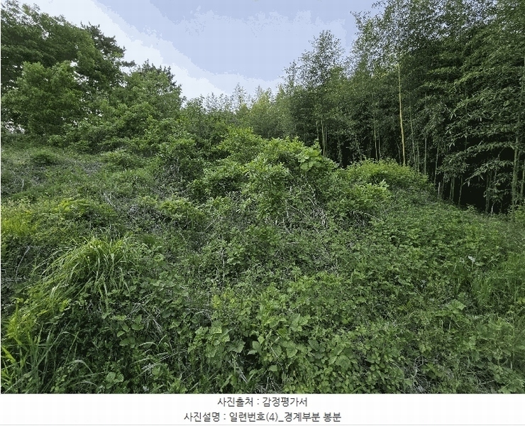 2025타경637 충청남도 서산시 지곡면 대요리 402-8 농지 경매 이미지
