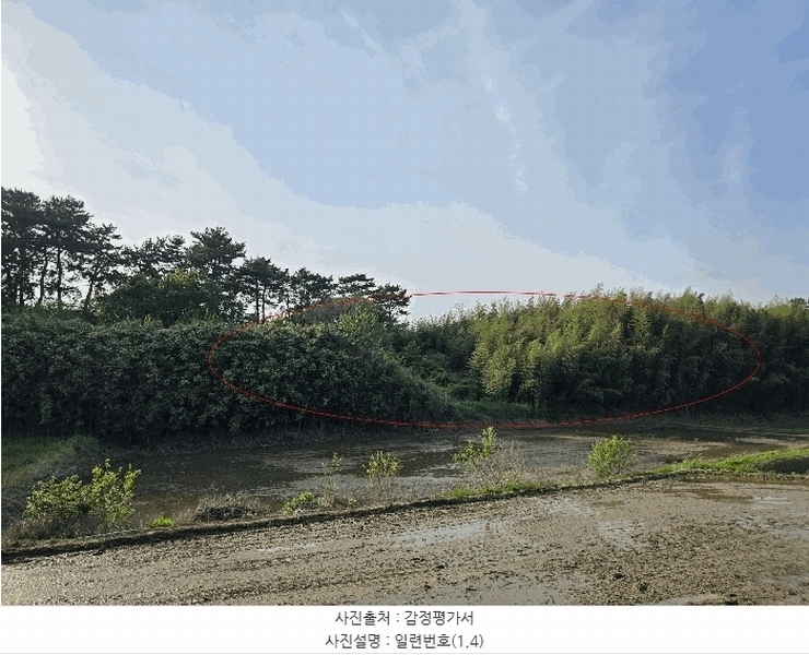 2025타경637 충청남도 서산시 지곡면 대요리 402-8 농지 경매 이미지