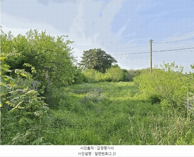 2025타경637 충청남도 서산시 지곡면 대요리 402-8 농지 경매 이미지