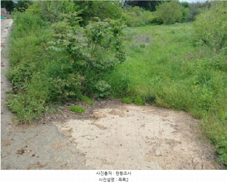 2025타경637 충청남도 서산시 지곡면 대요리 402-8 농지 경매 이미지