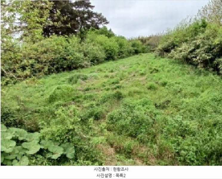 2025타경637 충청남도 서산시 지곡면 대요리 402-8 농지 경매 이미지