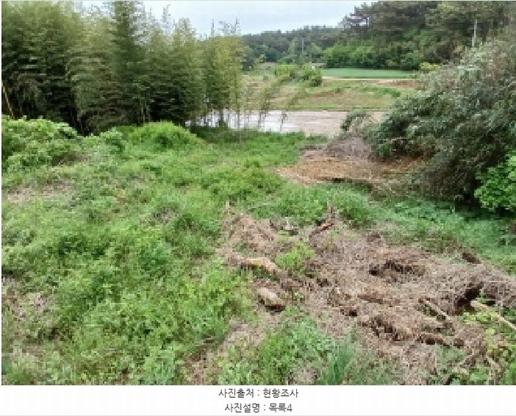 2025타경637 충청남도 서산시 지곡면 대요리 402-8 농지 경매 이미지