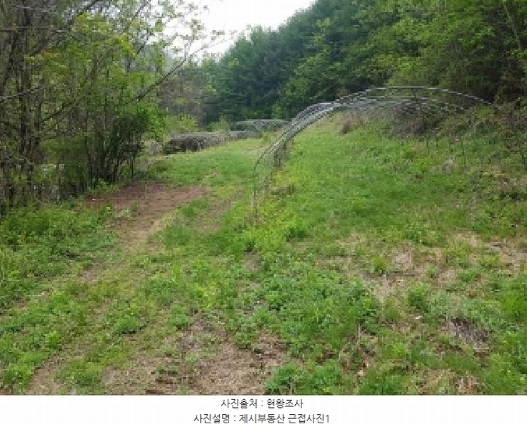 2025타경873 강원특별자치도 홍천군 북방면 성동리 220 농지 경매 이미지