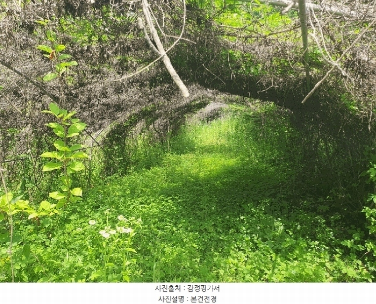 2025타경873 강원특별자치도 홍천군 북방면 성동리 220 농지 경매 이미지