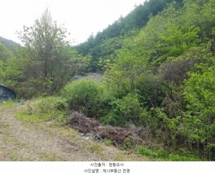 2025타경873 강원특별자치도 홍천군 북방면 성동리 220 농지 경매 이미지