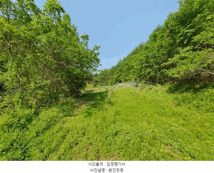 2025타경873 강원특별자치도 홍천군 북방면 성동리 220 농지 경매 이미지