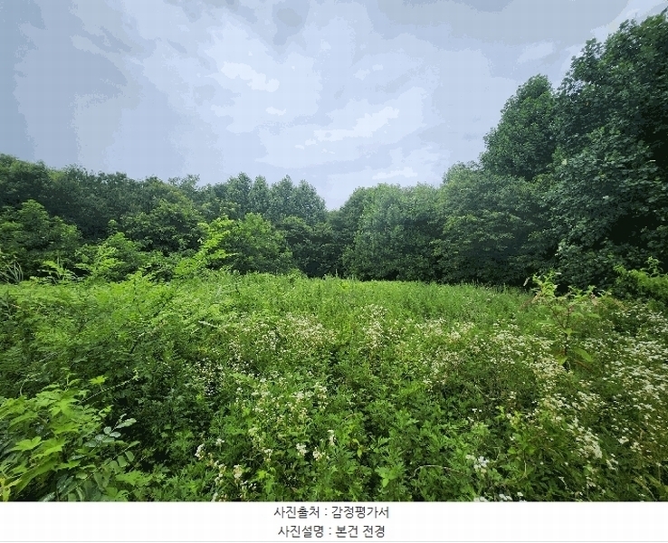 2025타경1036 충청남도 보령시 천북면 장은리 산70-7 임야 경매 이미지