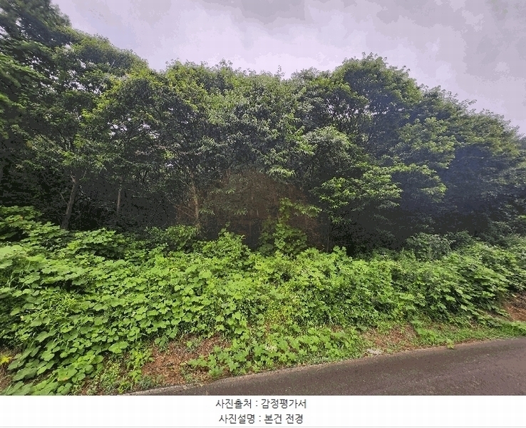 2025타경1036 충청남도 보령시 천북면 장은리 산70-7 임야 경매 이미지