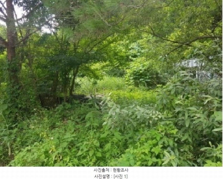 2025타경1395 강원특별자치도 인제군 인제읍 고사리 128 숙박시설 경매 이미지