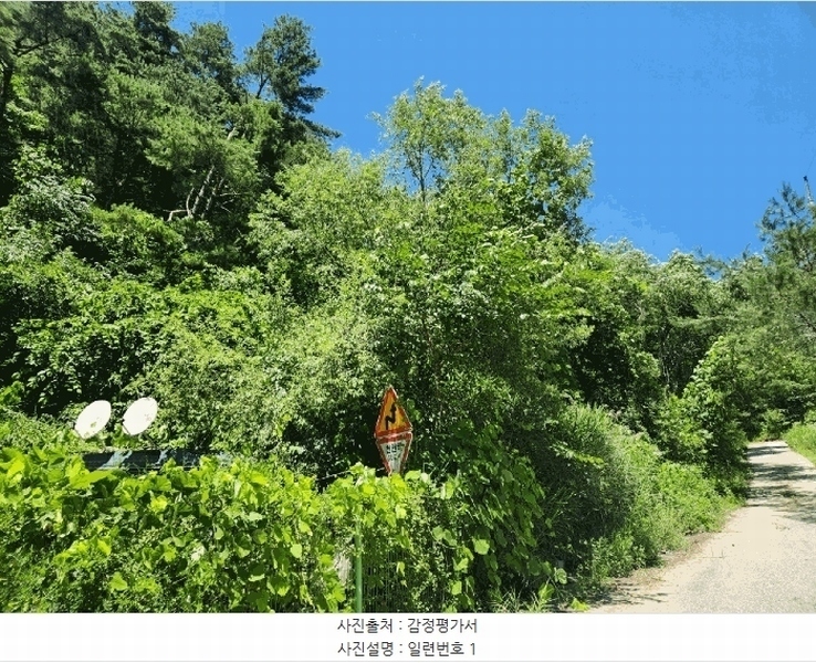 2025타경1395 강원특별자치도 인제군 인제읍 고사리 128 숙박시설 경매 이미지