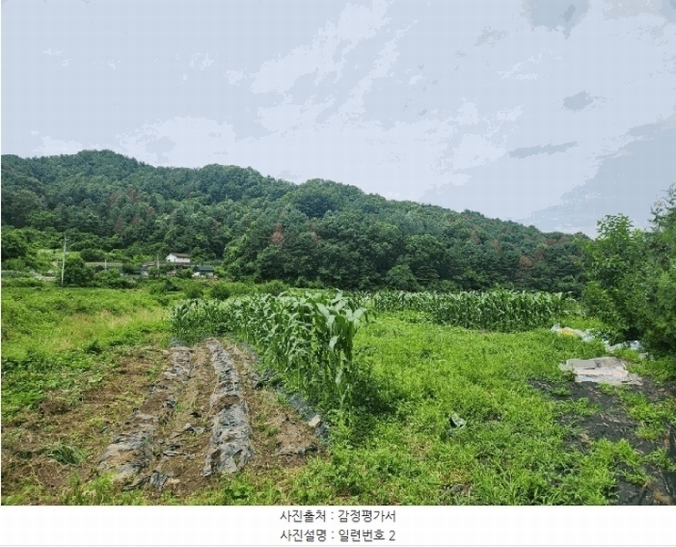 2025타경1432 강원특별자치도 춘천시 남산면 방곡리 466 농지 경매 이미지