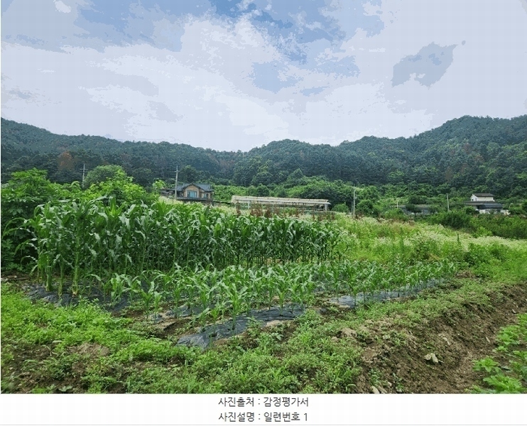 2025타경1432 강원특별자치도 춘천시 남산면 방곡리 466 농지 경매 이미지