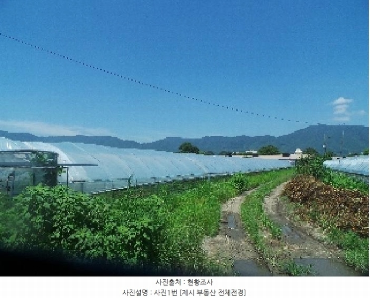 2025타경1630 강원특별자치도 춘천시 신북읍 산천리 354-5 농지 경매 이미지
