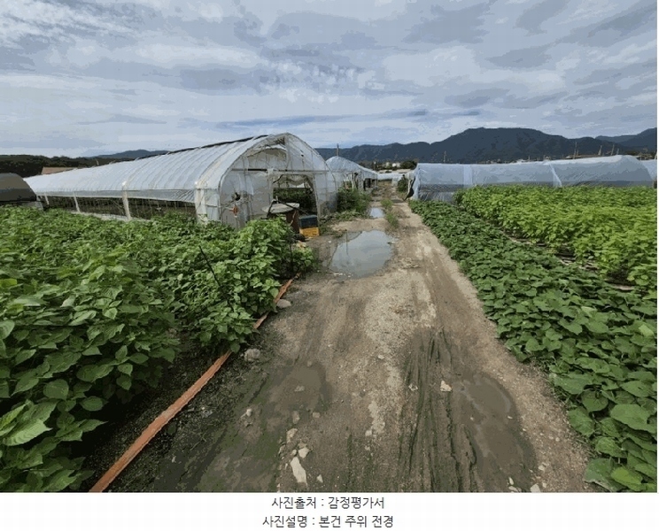 2025타경1630 강원특별자치도 춘천시 신북읍 산천리 354-5 농지 경매 이미지